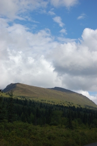 Alaska 2007 463